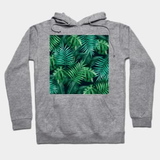 Palm leaves Pattern Hoodie